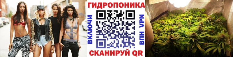 наркота МЕГА tor Шишки марихуана планчик Заполярный